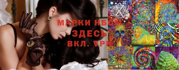 спиды Тавда