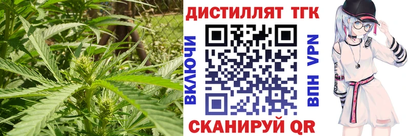 ТГК THC oil  продажа наркотиков  Южно-Сухокумск 